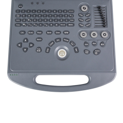 EUR VET Veterinary Equipment Low Price Veterinary Ultrasound Table Machine