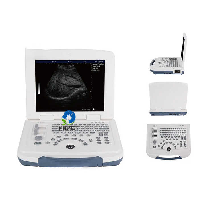 EUR PET Top Quality Animal Portable Ultrasound Machine Veterinary Instrument Veterinary Animal Ultrasound for Cow Sheep