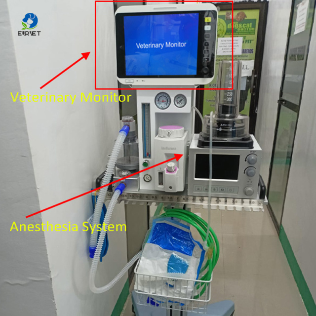 EUR VET Reliable Factory Price Veterinary Anesthesia Machine Veterinary Instrument