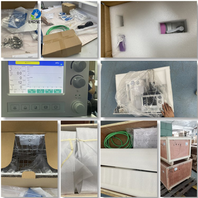 EUR VET Reliable Factory Price Veterinary Anesthesia Machine Veterinary Instrument