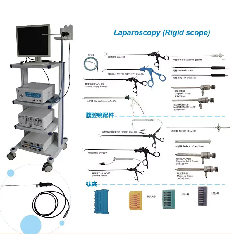 EURVET High Quality Veterinary Instrument CMOS Veterinary Gastroscope Double Channel Gastroscopes