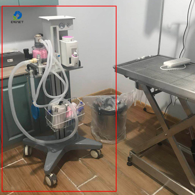 EUR PET High Cost-effective Pet Hospital Surgical Equipment Portable Veterinary Anesthesia Gas Machine