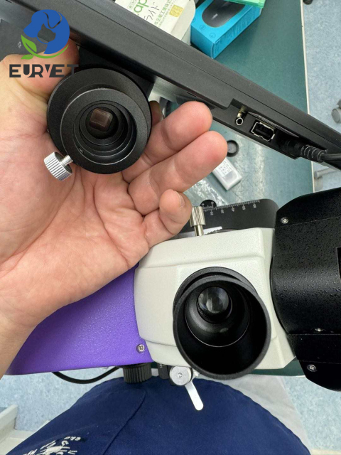 EUR VET Great Quality Optical Biological Microscope Veterinary Equipment Veterinary Inverted Biological Microscopes With Camera