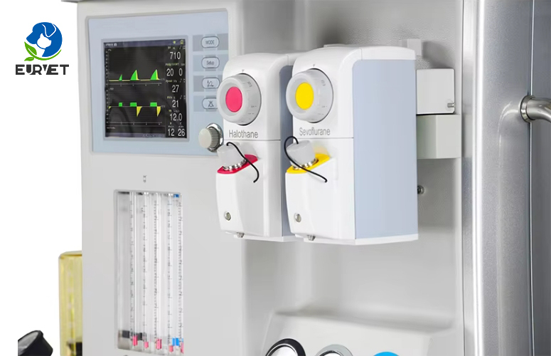 EUR PET Superior Quality Veterinary Anesthesia Machine Practical Veterinary Equipment for Vet Clinic Diagnostic