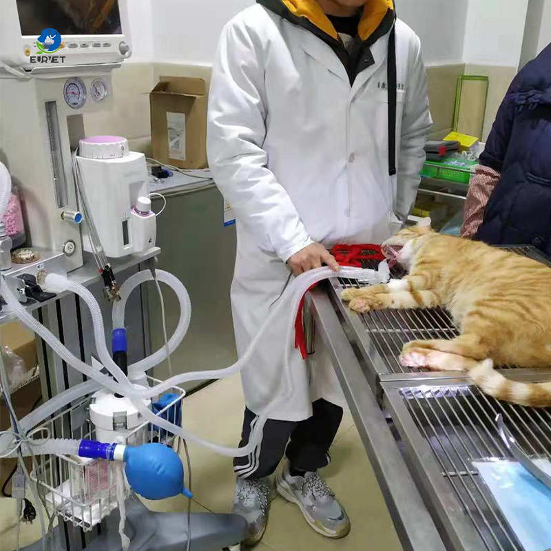 EUR PET High Cost-effective Pet Hospital Surgical Equipment Portable Veterinary Anesthesia Gas Machine