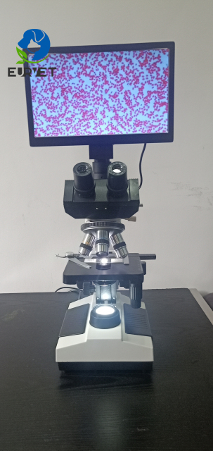 EUR VET Great Quality Optical Biological Microscope Veterinary Equipment Veterinary Inverted Biological Microscopes With Camera