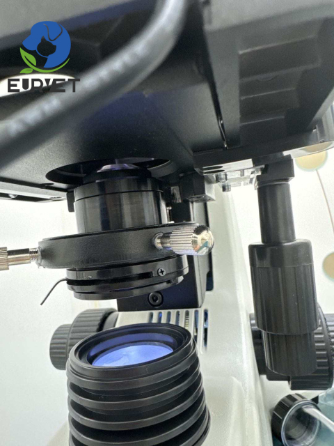 EUR VET Great Quality Optical Biological Microscope Veterinary Equipment Veterinary Inverted Biological Microscopes With Camera