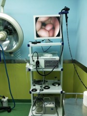 EURVET High Quality Veterinary Instrument CMOS Veterinary Gastroscope Double Channel Gastroscopes