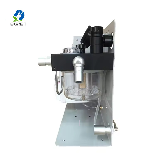 EUR PET Best Selling Medical Apparatus Anesthesia Instruments Anesthesia Machine Price for Vet Clinic