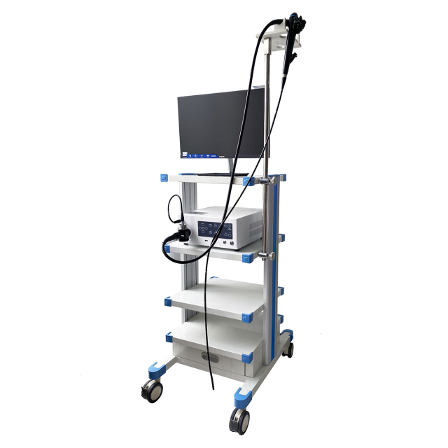 EURVET High Quality Veterinary Instrument CMOS Veterinary Gastroscope Double Channel Gastroscopes