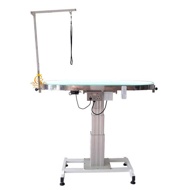 EUR PET Professional Grade Multifunctional Electric Lifting Folding Beauty Equipment Small Animals Dogs Pet Grooming Table