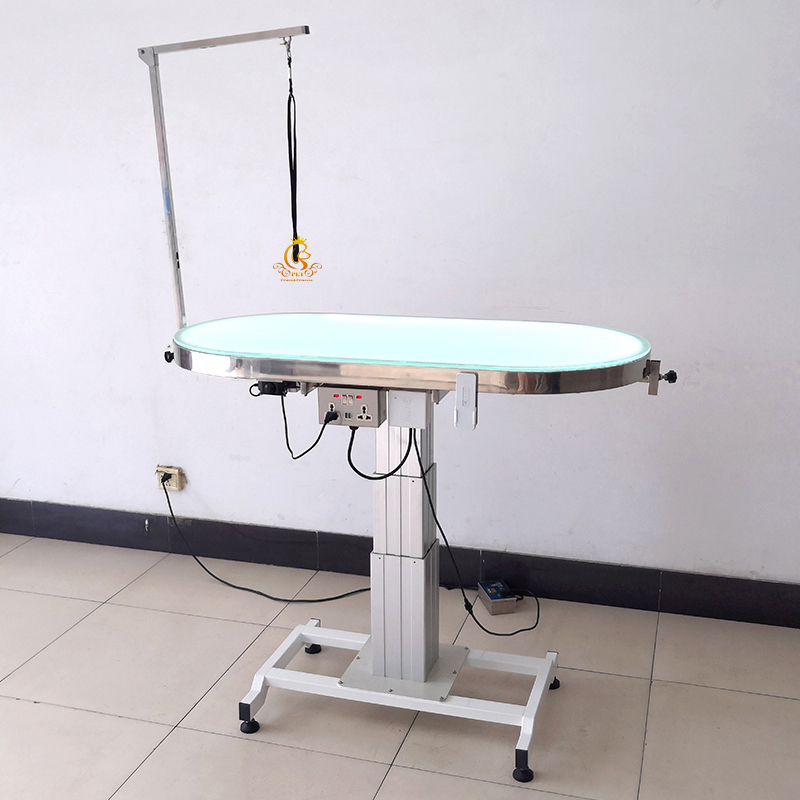 EUR PET Professional Grade Multifunctional Electric Lifting Folding Beauty Equipment Small Animals Dogs Pet Grooming Table