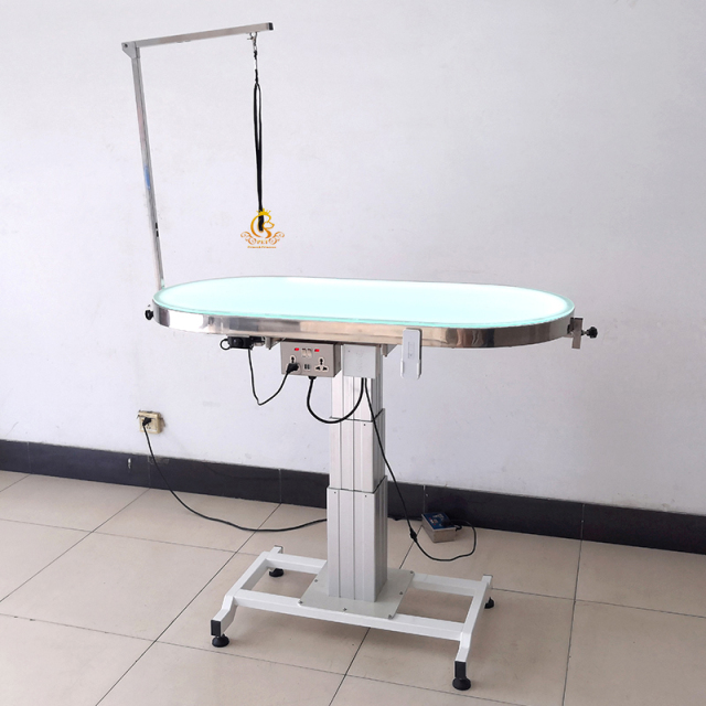 EUR PET Professional Grade Multifunctional Electric Lifting Folding Beauty Equipment Small Animals Dogs Pet Grooming Table