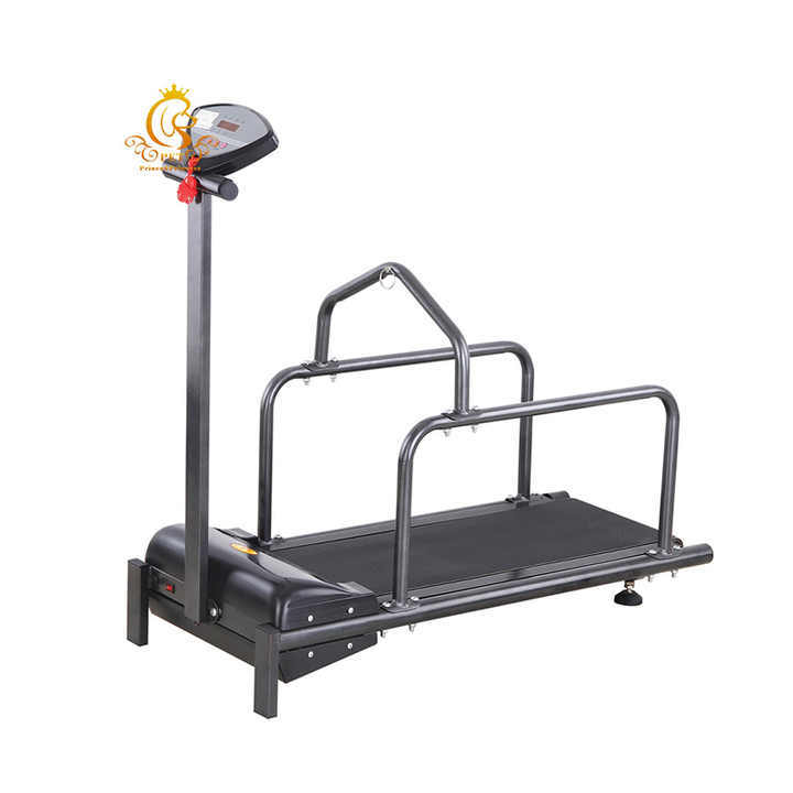 EURPET Excellent Pet Shop Training Equipment Pet Treadmill for Dogs Veterinary Electric Treadmill