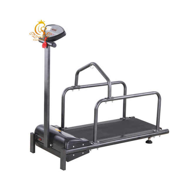 EURPET Excellent Pet Shop Training Equipment Pet Treadmill for Dogs Veterinary Electric Treadmill