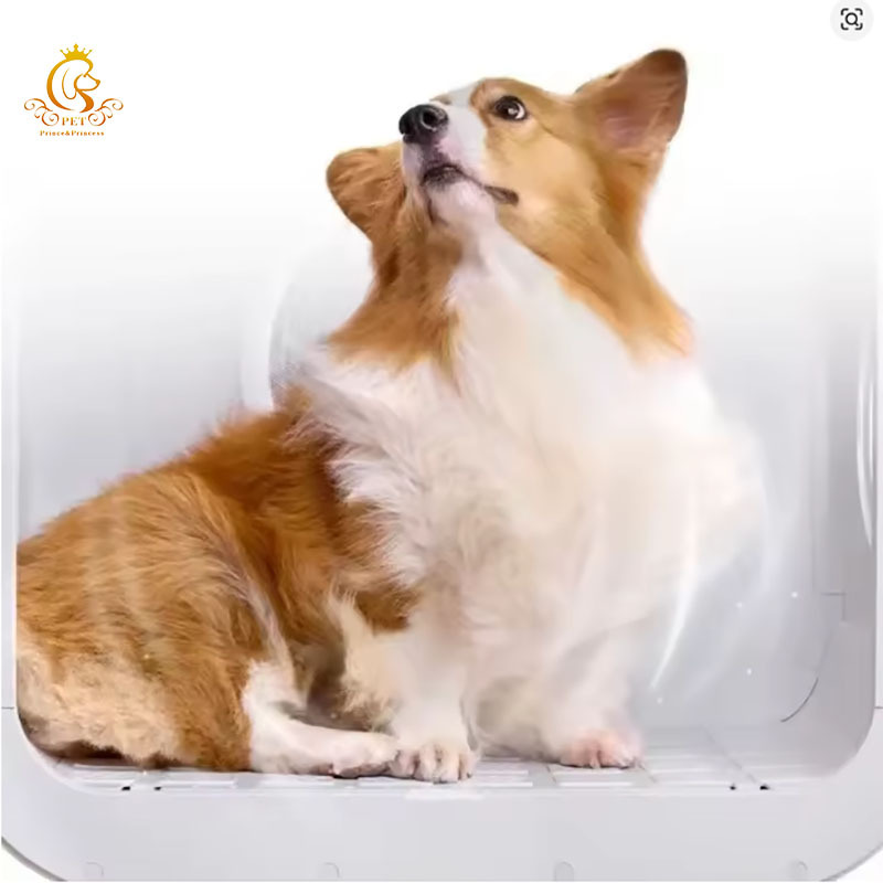 EUR PET Automatic Professional Pet Hair Drying Machine Hot-selling Professional Cat Dryer Box for Dog Grooming