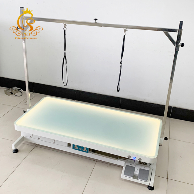 EUR PET  Multifunctional  LED Lighting Electric Dog Grooming Table Height Adjustable Easy Use Pet Salon Equipment Cats Dogs
