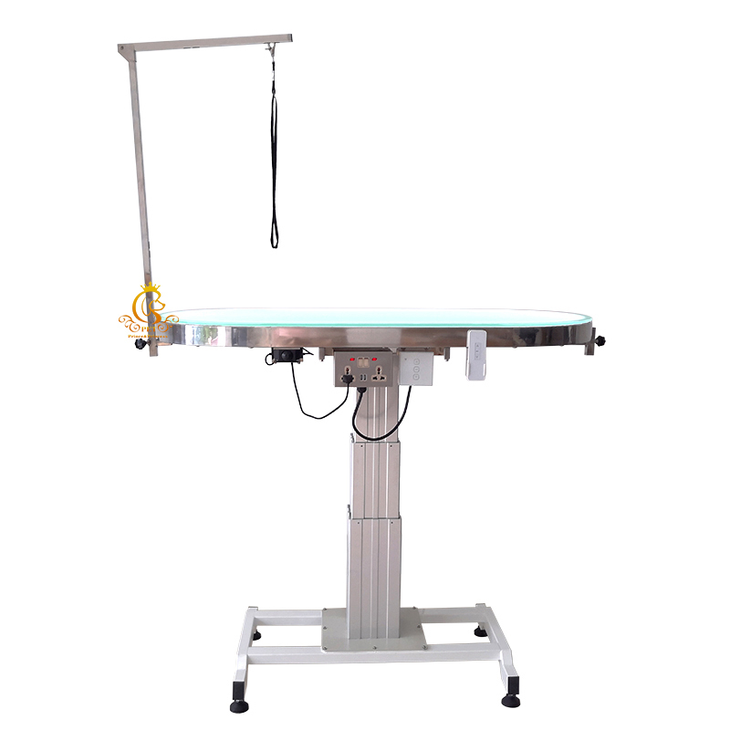 EUR PET Professional Grade Multifunctional Electric Lifting Folding Beauty Equipment Small Animals Dogs Pet Grooming Table