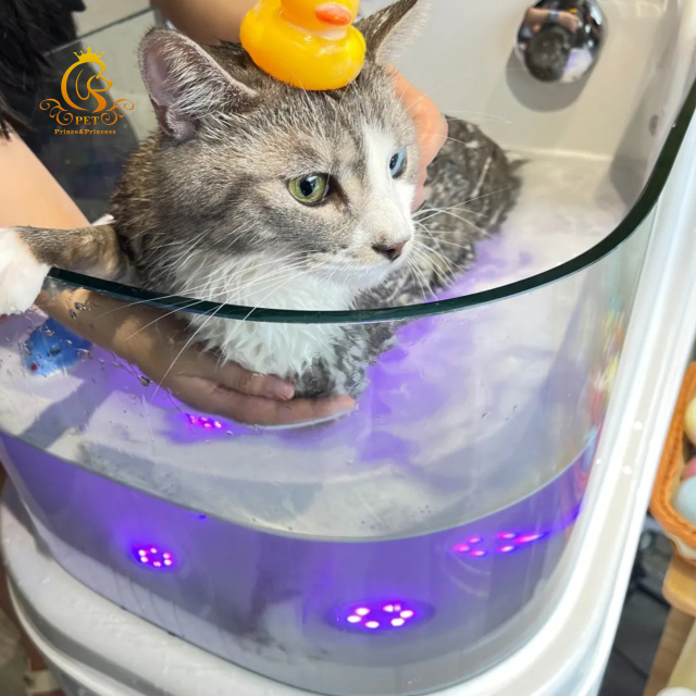 EUR PET Best Seller Pet Spa Bathtub Multifunctional With Surf and Lights Dog Milk Tub for Pet Shower and Grooming