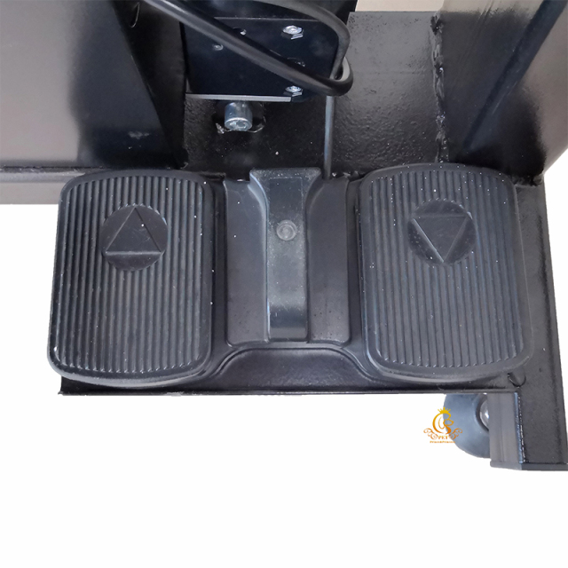 EUR PET Cats and Dogs Treat on Led Electric Lifting Large Grooming Table With Steel Coating Legs for Pet Shop