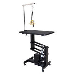 EUR PET Cats and Dogs Treat on Led Electric Lifting Large Grooming Table With Steel Coating Legs for Pet Shop