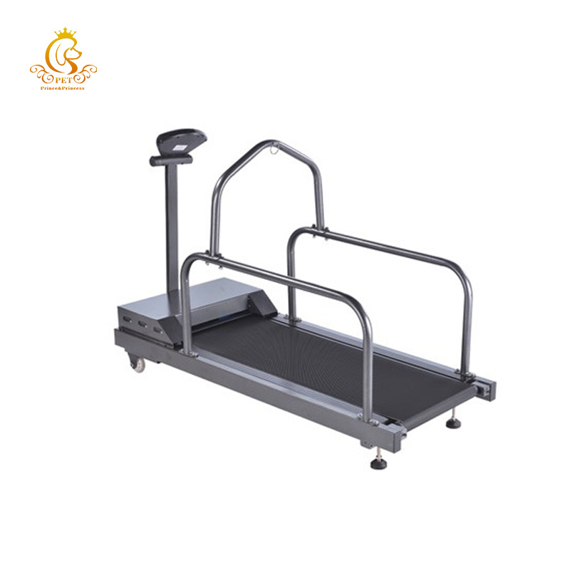 EURPET Excellent Pet Shop Training Equipment Pet Treadmill for Dogs Veterinary Electric Treadmill