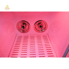 EUR PET Top Selling Small Pet Hair Dryer Machine Automatic Dog Cat Dryer Box Temperature Control Vet Drying Cabinet