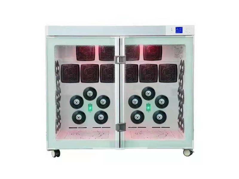 EUR PET Pet Automatic Dryer for Big Size Dogs Pet Grooming Station Gentle Warm Air Pet Cabinet Hair Dryer