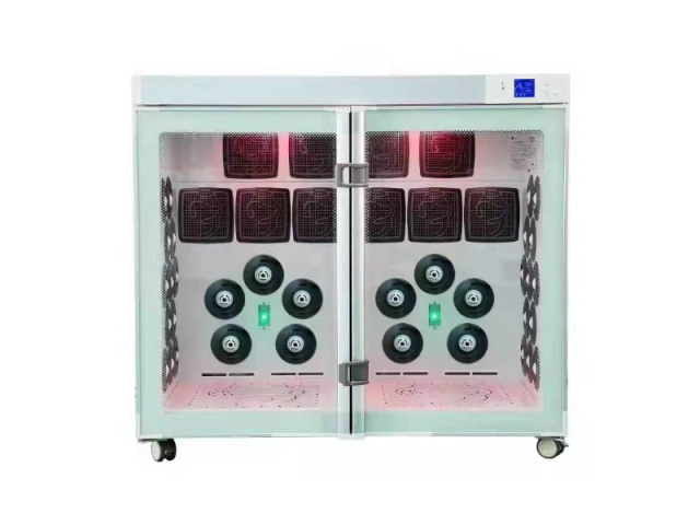 EUR PET Pet Automatic Dryer for Big Size Dogs Pet Grooming Station Gentle Warm Air Pet Cabinet Hair Dryer