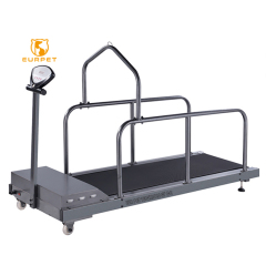 EUR VET Portable Metal Treadmills for Pets for Home Use Walking Running Exercise Treadmill Curved LED Display.