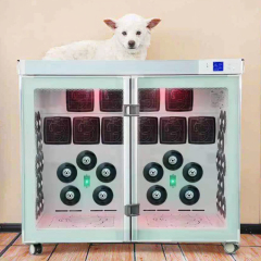 EUR PET Pet Automatic Dryer for Big Size Dogs Pet Grooming Station Gentle Warm Air Pet Cabinet Hair Dryer