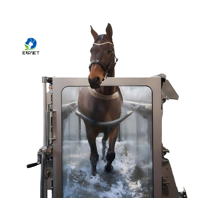 EUR PET High Speed Equine Horse Underwater Aqua Treadmill with Stainless Steel Construction Soft & Eco-Friendly Design