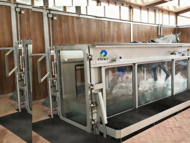 EUR PET High Speed Equine Horse Underwater Aqua Treadmill with Stainless Steel Construction Soft & Eco-Friendly Design