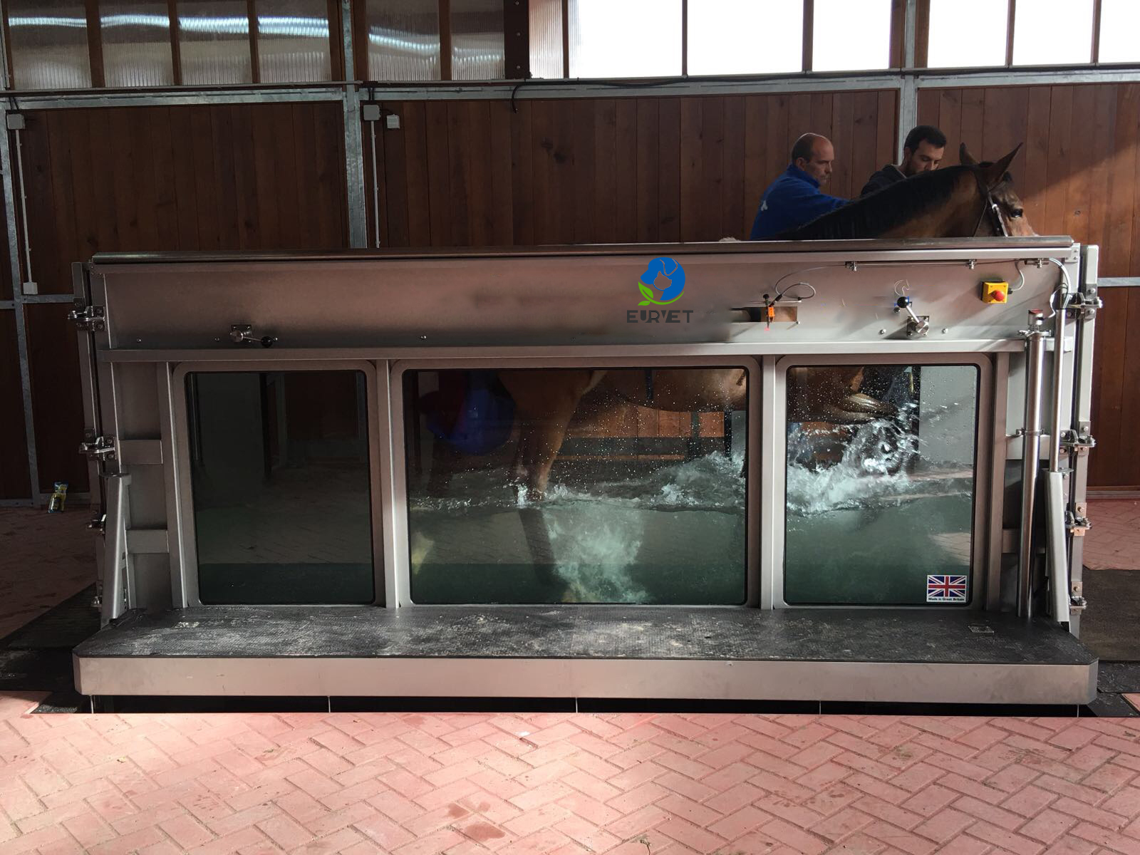 EUR PET High Speed Equine Horse Underwater Aqua Treadmill with Stainless Steel Construction Soft & Eco-Friendly Design
