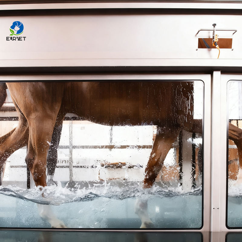 EUR PET High Speed Equine Horse Underwater Aqua Treadmill with Stainless Steel Construction Soft & Eco-Friendly Design
