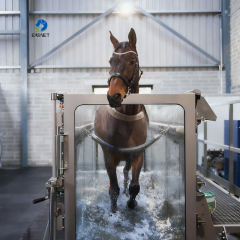 EUR PET High Speed Equine Horse Underwater Aqua Treadmill with Stainless Steel Construction Soft & Eco-Friendly Design