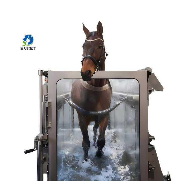 EUR PET High Speed Equine Horse Underwater Aqua Treadmill with Stainless Steel Construction Soft & Eco-Friendly Design