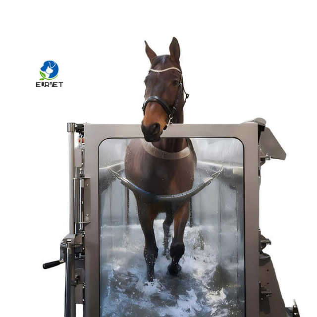 EUR PET High Speed Equine Horse Underwater Aqua Treadmill with Stainless Steel Construction Soft & Eco-Friendly Design