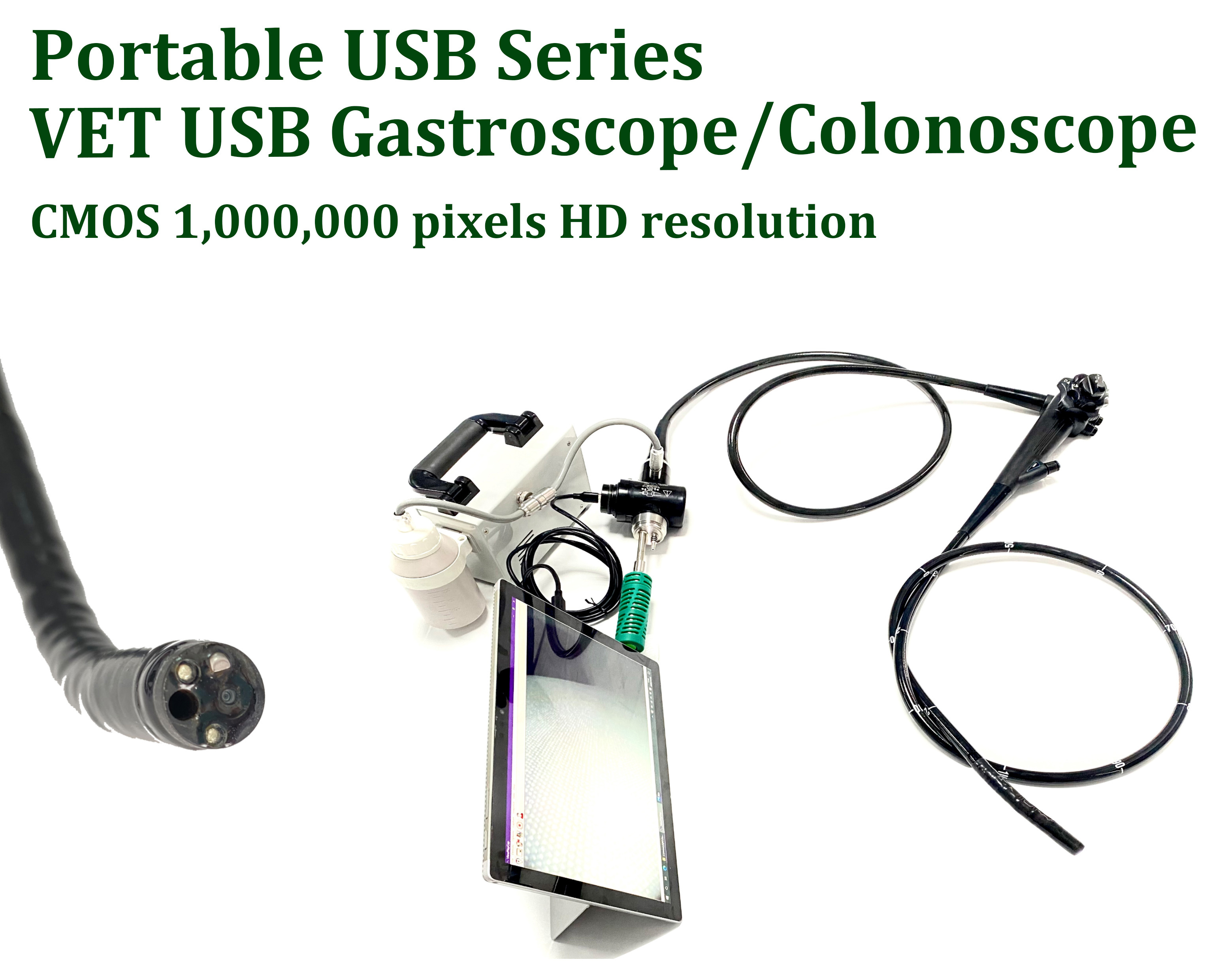 EUR VET Hot Sale Portable Flexible Fiber Ureteroscope Medical Equipment Light Source Endoscope for Veterinary Hospital
