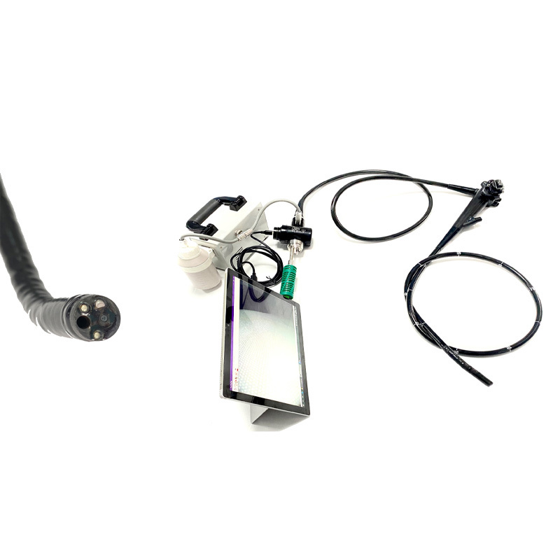 EUR VET Hot Sale Portable Flexible Fiber Ureteroscope Medical Equipment Light Source Endoscope for Veterinary Hospital