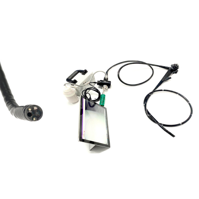 EUR VET Hot Sale Portable Flexible Fiber Ureteroscope Medical Equipment Light Source Endoscope for Veterinary Hospital