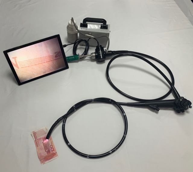 EUR VET Hot Sale Portable Flexible Fiber Ureteroscope Medical Equipment Light Source Endoscope for Veterinary Hospital