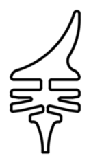 rubber strip for valeo type