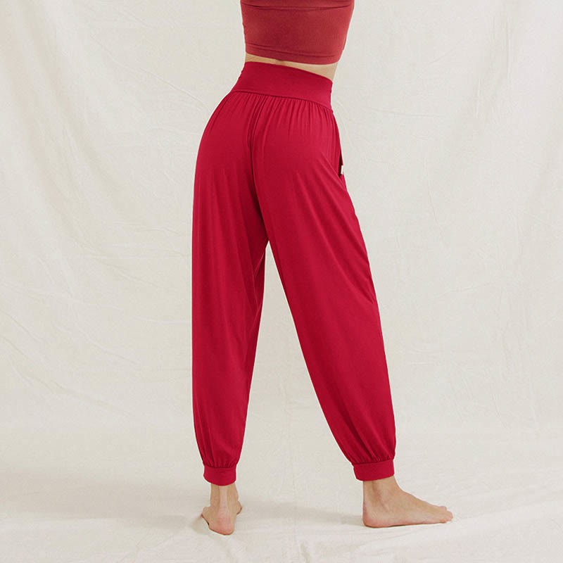 Casual Plain High Waist Tummy Control Women's Leica Harem Pants With Pockets