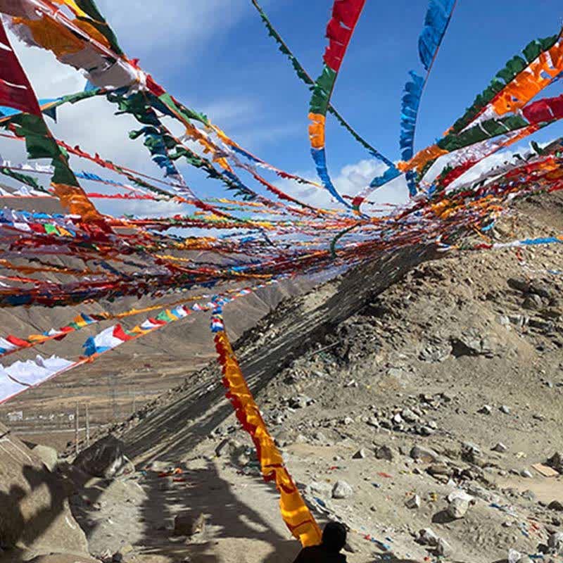 Tibetan 5 Colors Windhorse Auspicious Outdoor 25 Pcs Prayer Flag