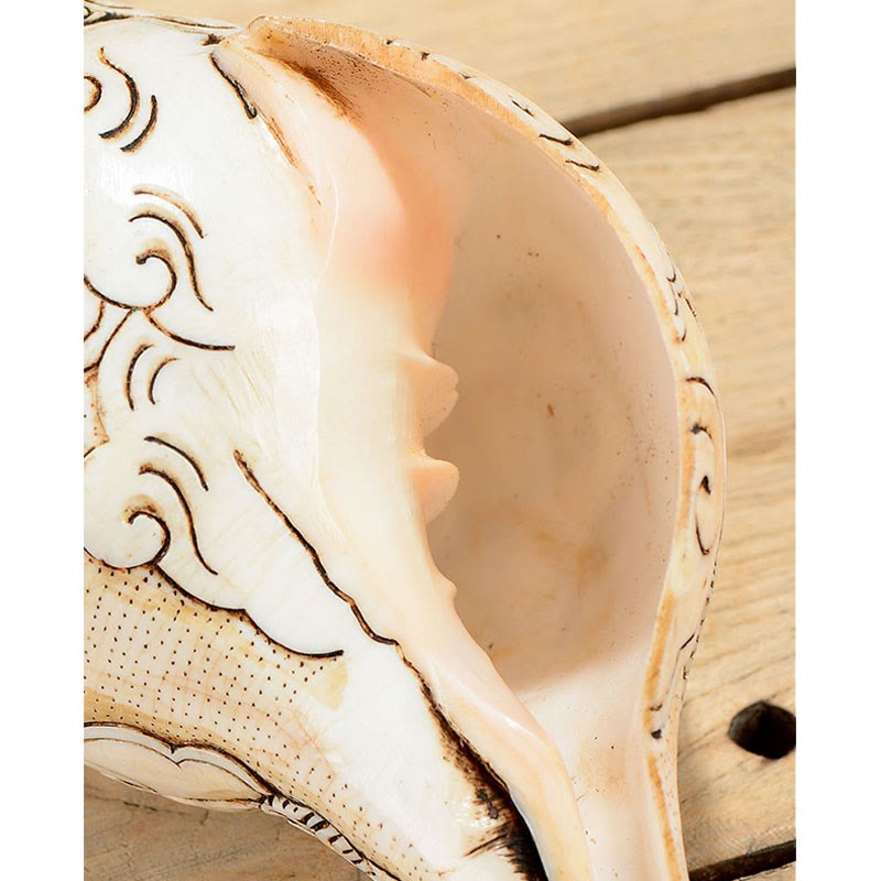 Tibetan Handmade Engraved Shankha mystic zen Avalokitesvara Conch Shell Wealth Decoration
