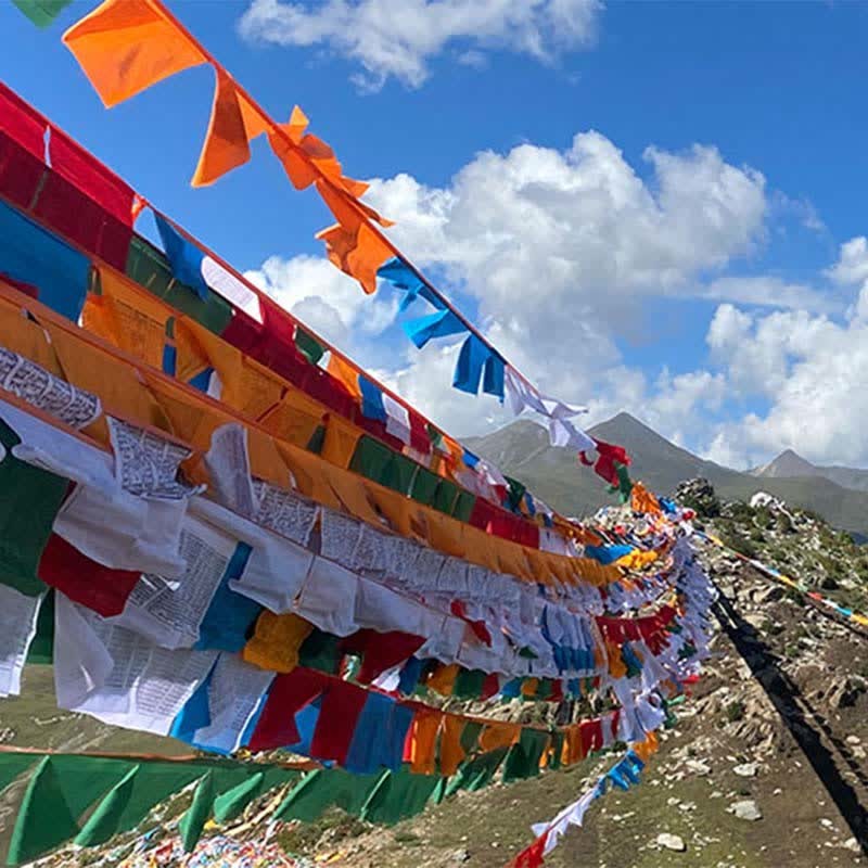 Tibetan 5 Colors Windhorse Auspicious Outdoor 25 Pcs Prayer Flag