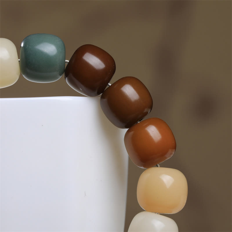 Multicolored Bodhi Seed Keep Away Evil Spirits Bracelet