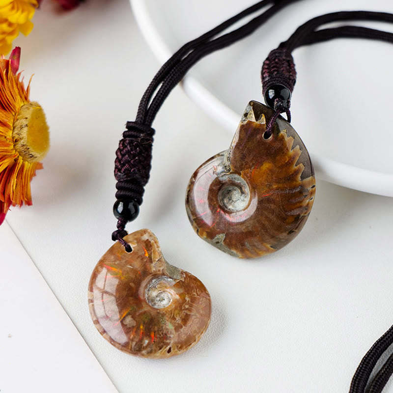 Natural Ammonite Fossil Snail Pattern Meditation Healing Necklace Pendant