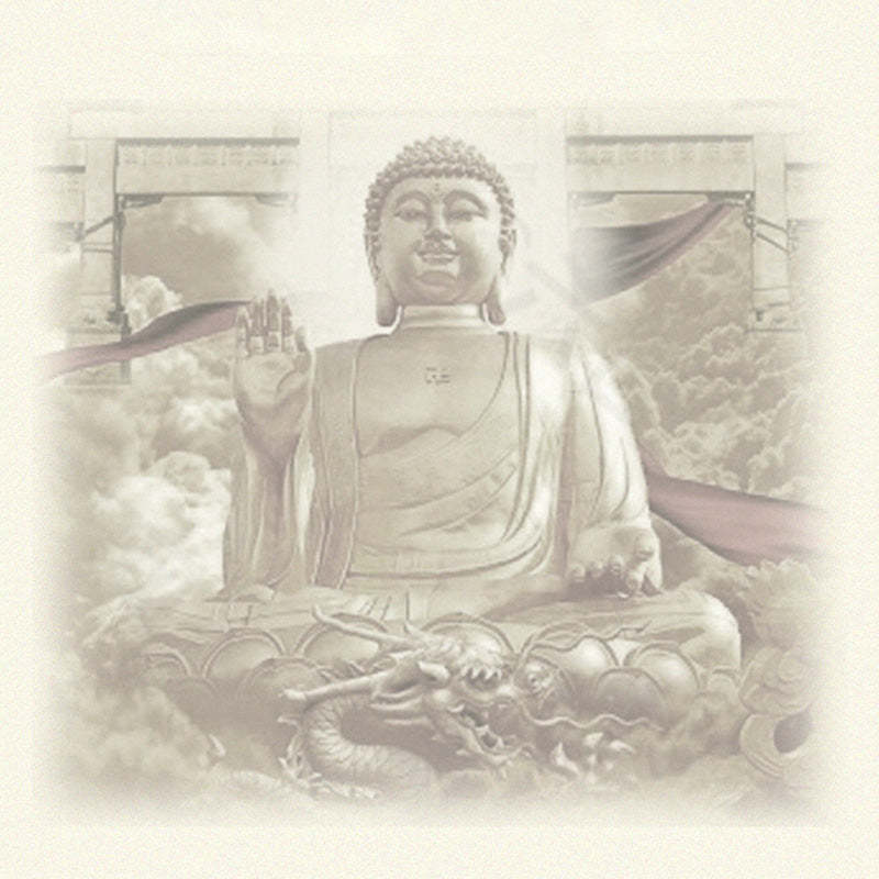 Tathagata mystic zen Dragon Jade Amulet Serenity String Necklace